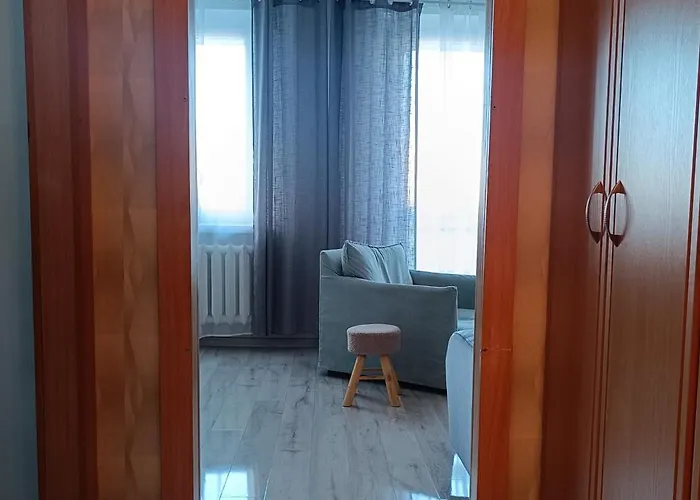 Przytulny Kat * ז'ורי