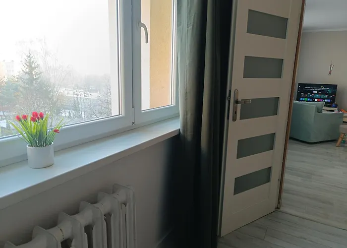 Przytulny Kat ז'ורי